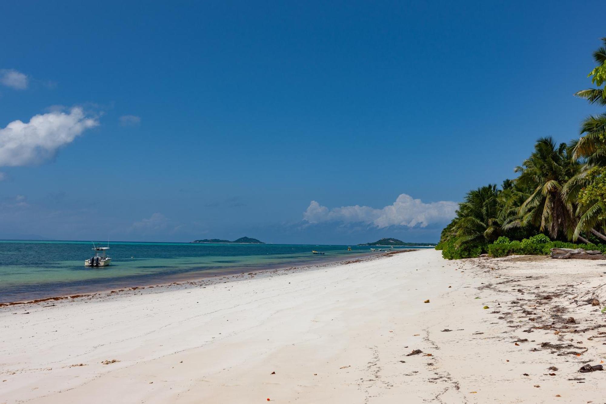 Bijoutier Apartments Grand Anse  Extérieur photo