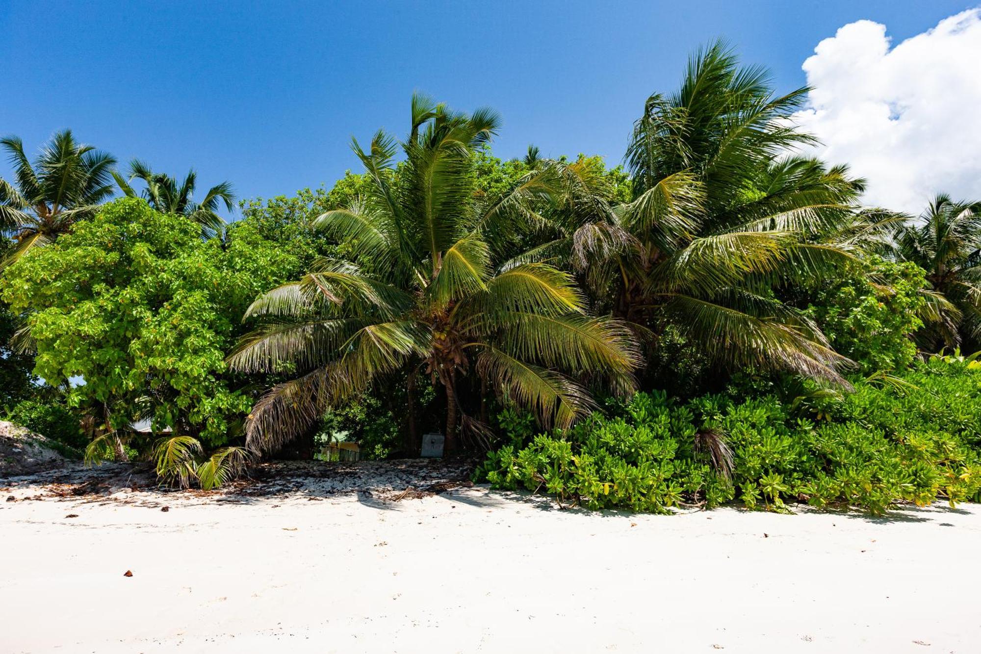 Bijoutier Apartments Grand Anse  Extérieur photo